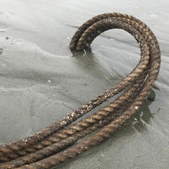 Blue Bossa - Soprano Sax Virtual Instrument