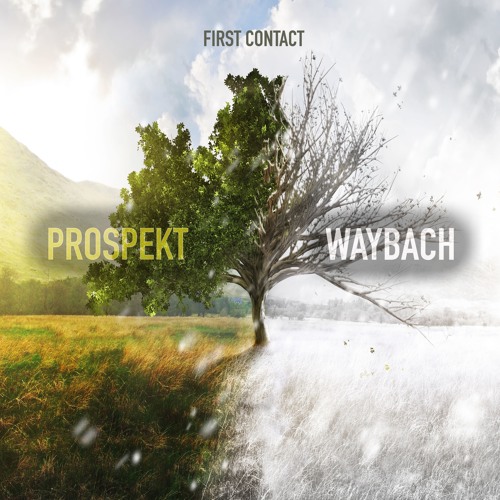 First Contact - Prospekt & WayBach