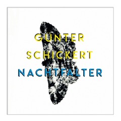 Günter Schickert "Nachtfalter" - album preview - Out Feb 15, 2019