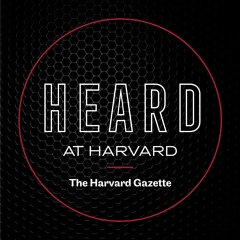 Classics professor Richard Thomas discusses “Why Dylan Matters” with Robin Kelsey