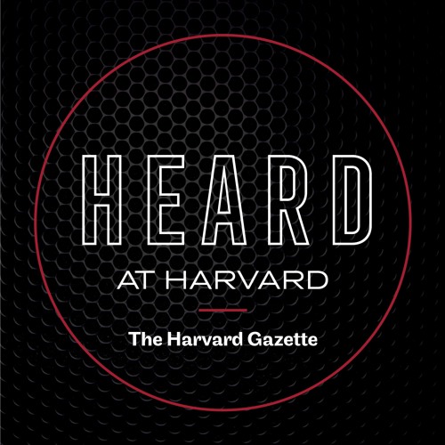 Classics professor Richard Thomas discusses “Why Dylan Matters” with Robin Kelsey