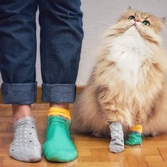 بيع قلبك  عبد الحليم حافظ