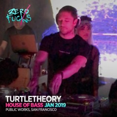 turtletheory @ House of Bass: Techno Masquerade 3 - Public Works SF - January 2019