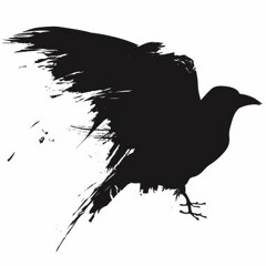 SUISIDE - BOYS - Beat - By - The - Crow