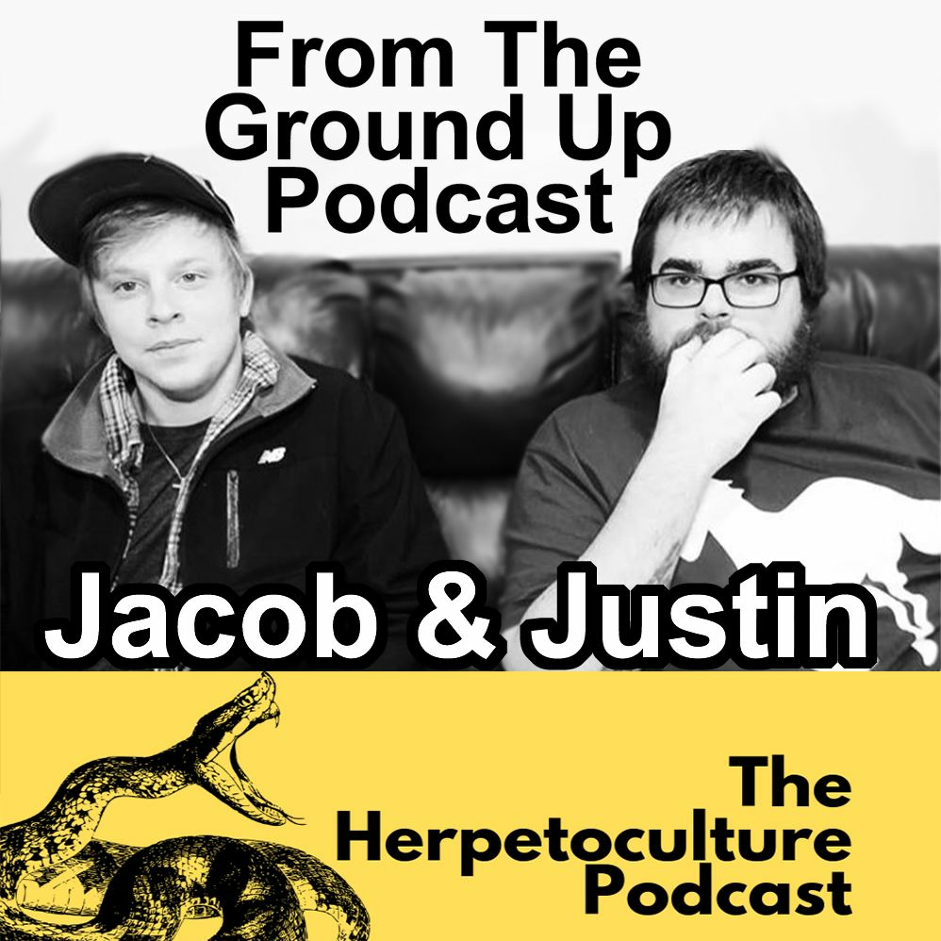 Modern Medusa Reptile Podcast - Where we talk everything cold-blooded (Snake Podcast)