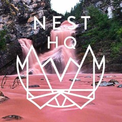 NEST HQ MiniMix: Ducky