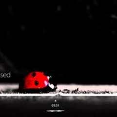Born Depressed - Drill Queen (Jimquisition Intro Music)