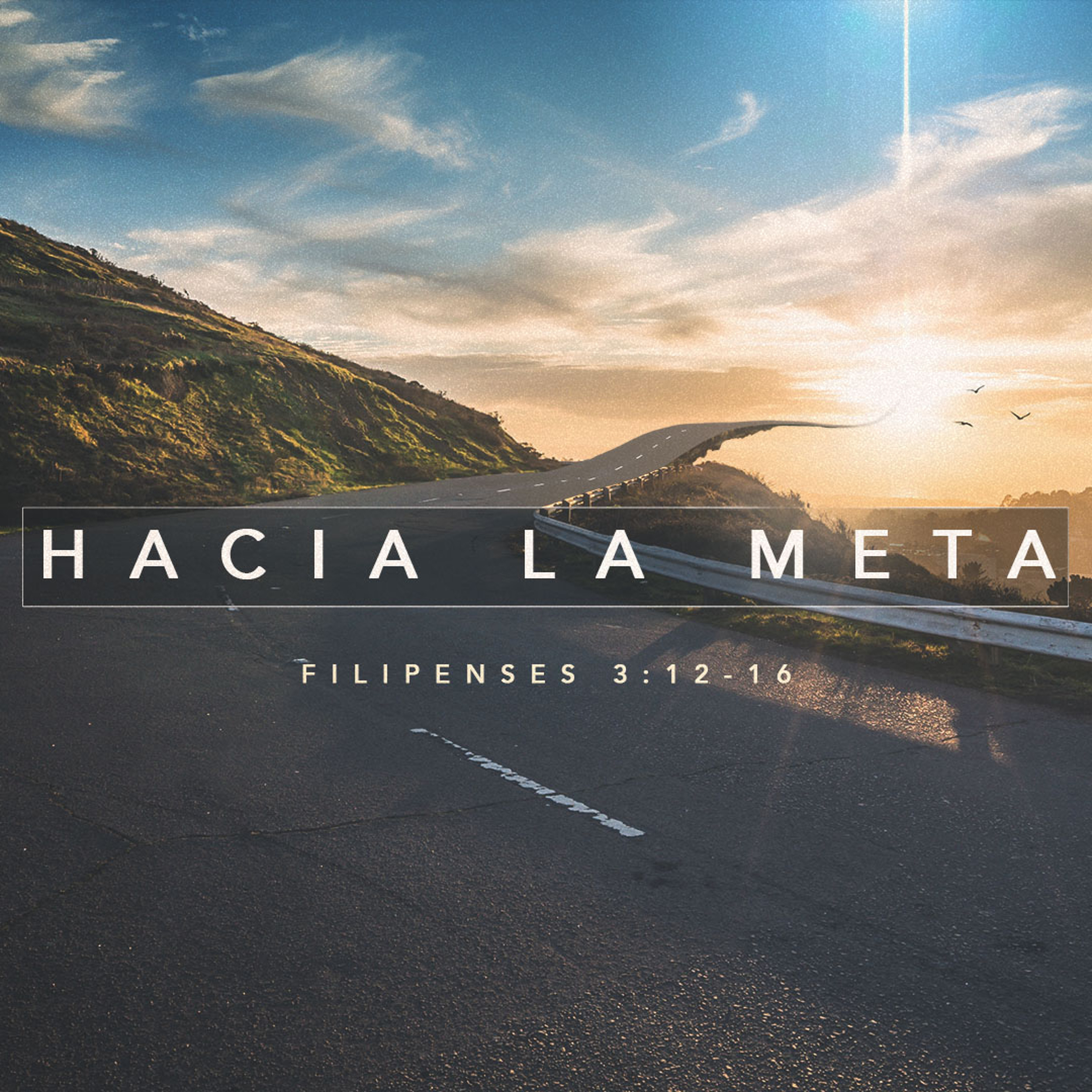 Hacia la Meta episode artwork