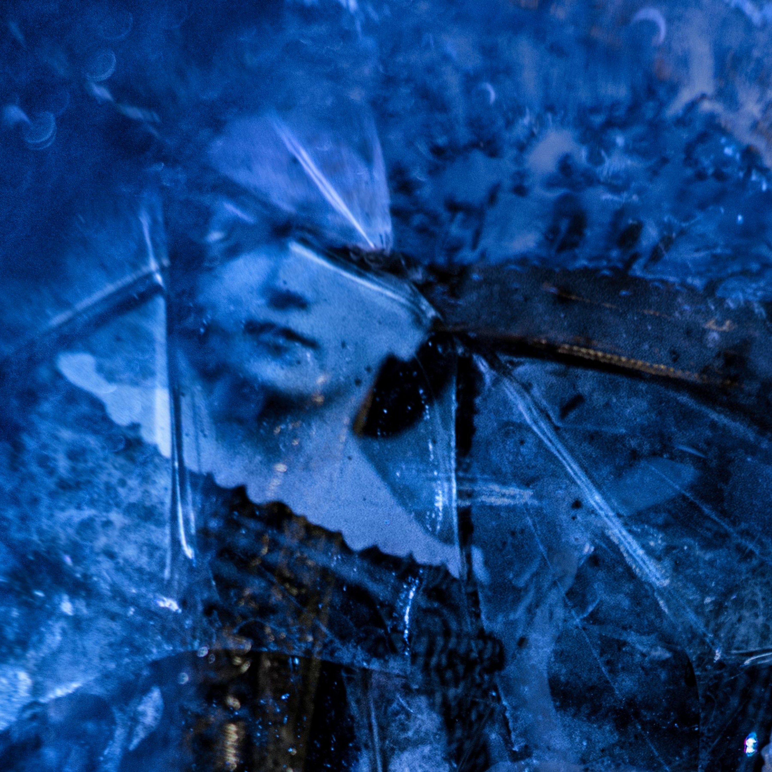 ＧＩＬＤＥＤ ＣＡＧＥ episode artwork
