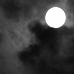 Beautiful Dreamer- Whimsically Macabre Version