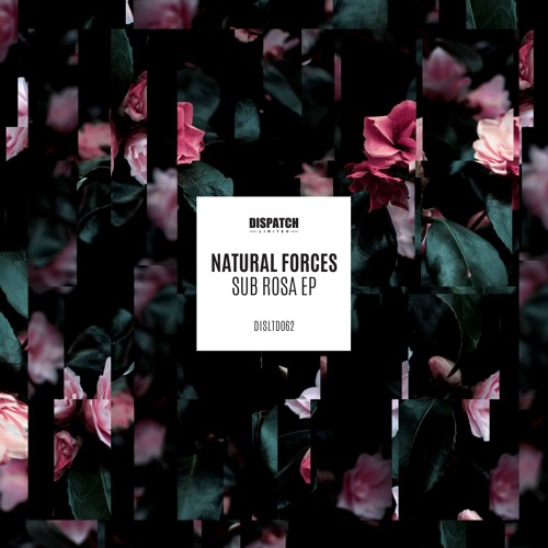 Natural Forces - Liaisons - Dispatch LTD 062 (CLIP) - OUT NOW