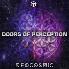 Neocosmic - Undersense (Original Mix) PREVIEW