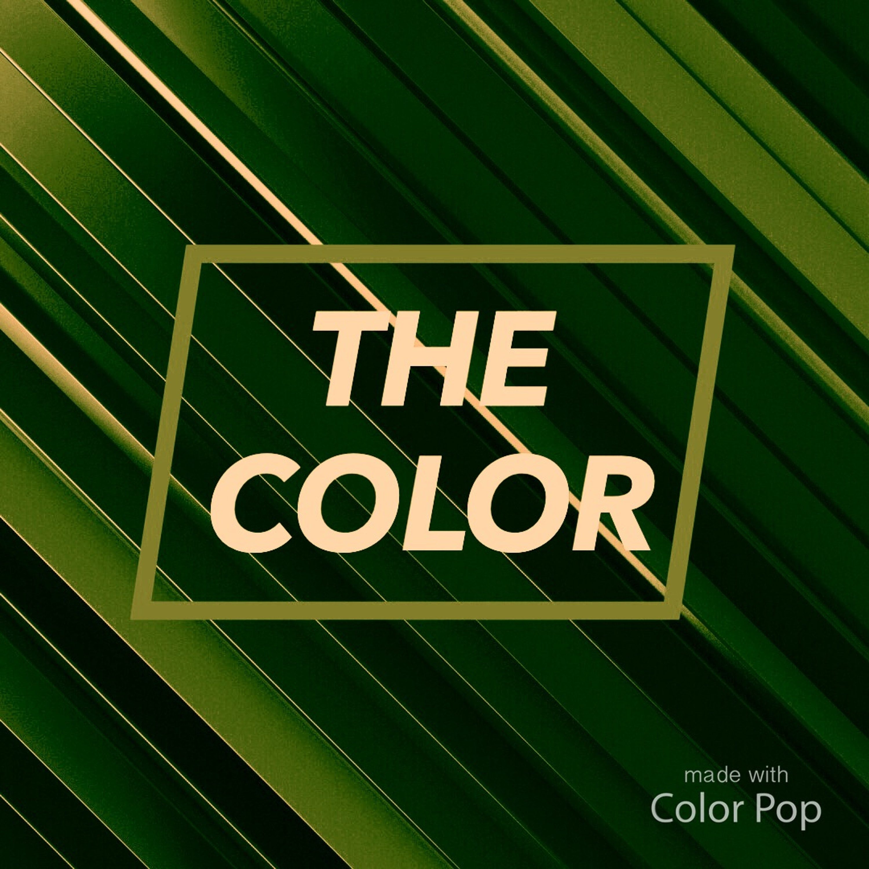 THE COLOR episode artwork
