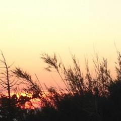 Bir tebessüm ederdim sana