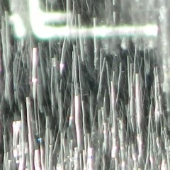 Kuuvihmaplaneedil 1 2011