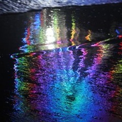 the birds and the bees