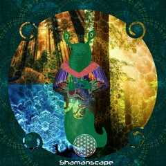Mystique Wind - Look Through the Fibers