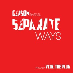 Separate Ways (Prod. VLTN. The Plug)