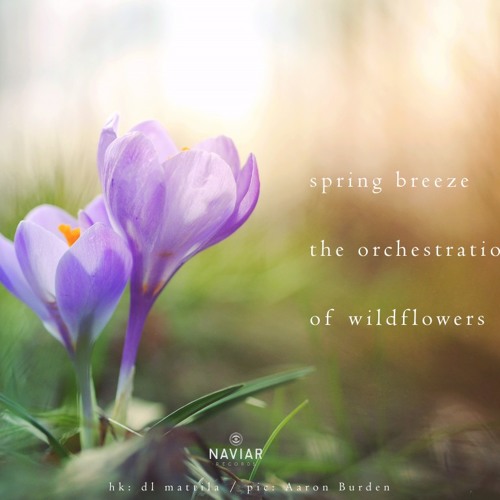 spring breeze the orchestration of wildflowers (Naviarhaiku 267 )