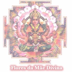 Se Deus me Deu