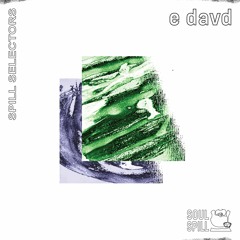 Spill Selectors - E Davd (Live At Secret Garden Festival 2018)