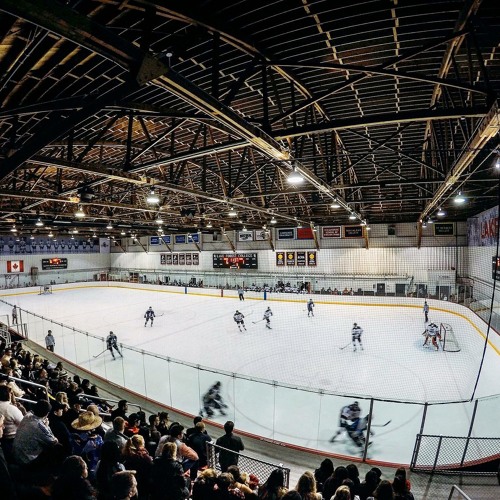 Goal Calls Lake Forest College 2019 By Cammcguire21 On Soundcloud