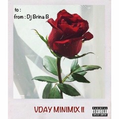 VDAY MINIMIX II