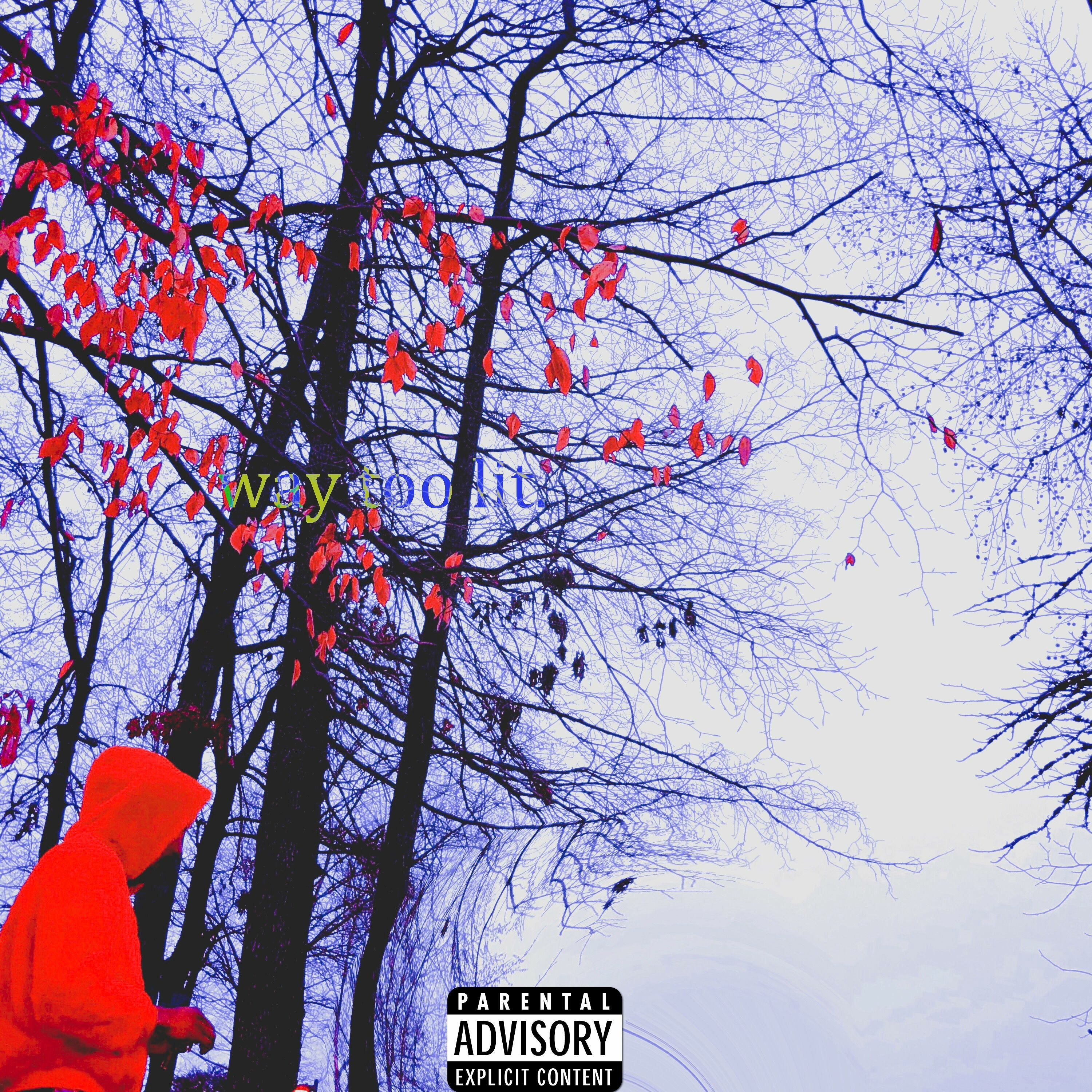 waytoolit (prod. BLK WLF) episode artwork