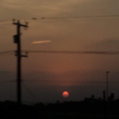 New & hot: Ambient