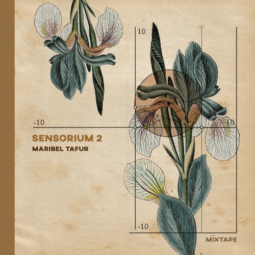 Maribel Tafur / Sensorium Mixtapes / Vol 02 / 2019_02