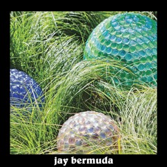 FREEBIES: Jay Bermuda - MG4