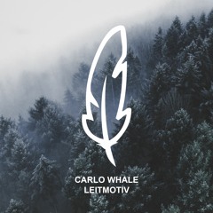 Carlo Whale - Archernar (snippet)