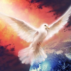 UNIVERSAL LOVE by Special Cecilia & Darren Sullivan