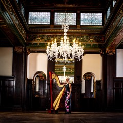 Can't help falling in love