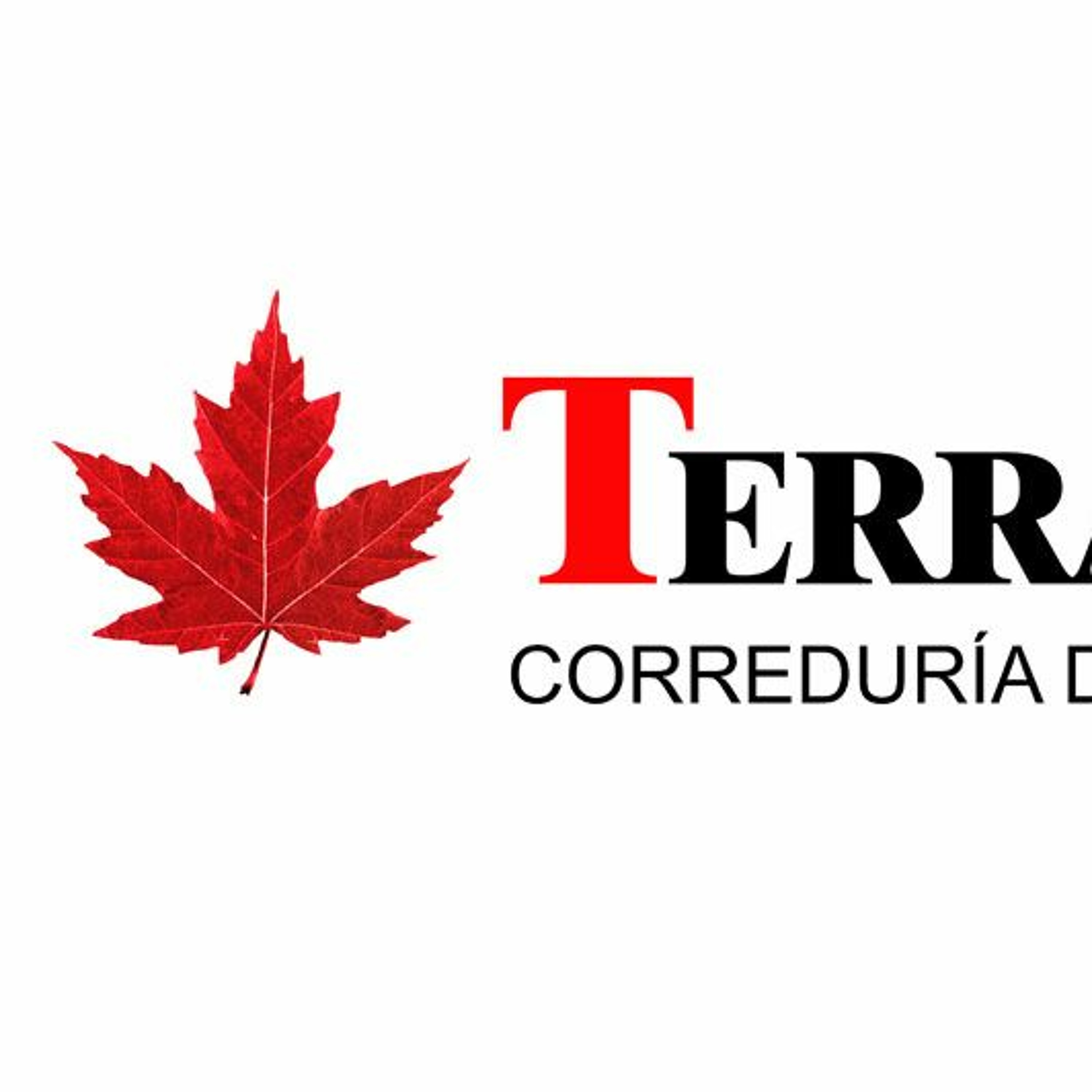 TERRANEA. MAS QUE FINTECH episode artwork