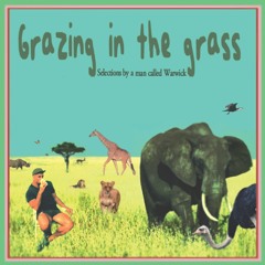 TPS 030 - GRAZING IN THE GRASS