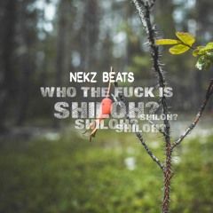 Who The Fuck Is Shiloh?