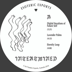 B2 Lavender Palms
