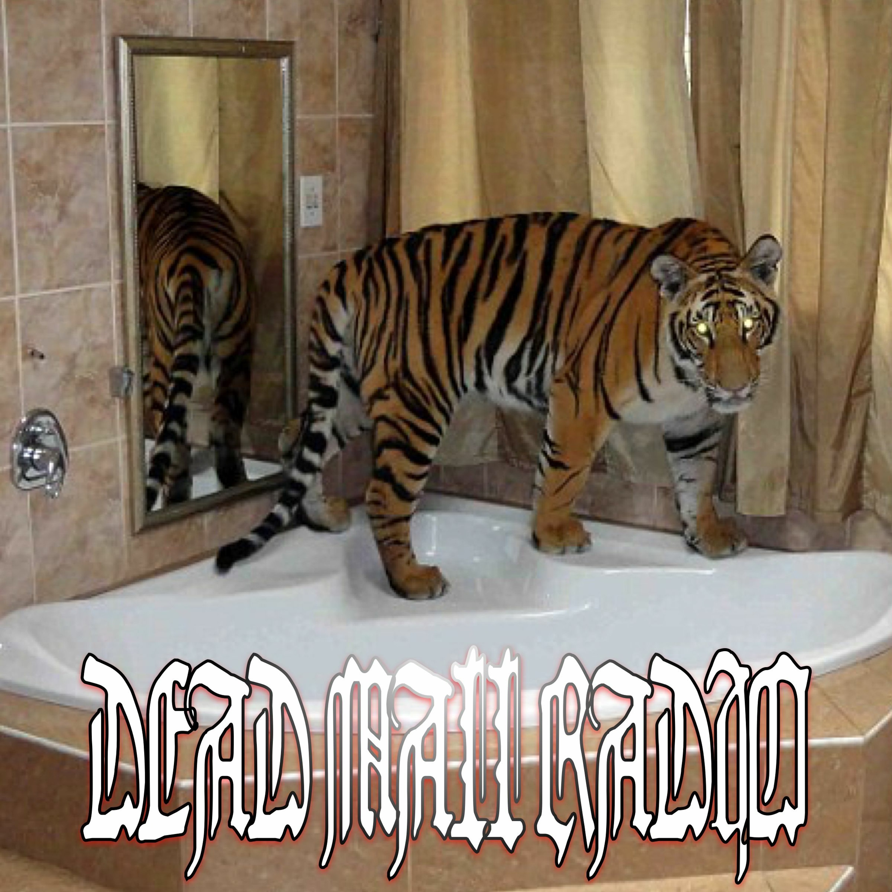 Dead Mall Radio