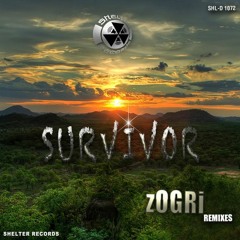 Dj Cassano - Survivor (zOGRi  Afro remixes) Shelter Records