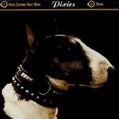Pixies - Here Comes Your Man