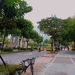 情非得已 by Roa ♥️