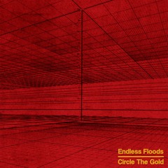 02 - ENDLESS FLOODS - SEEDS
