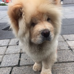 잠 자기 전에