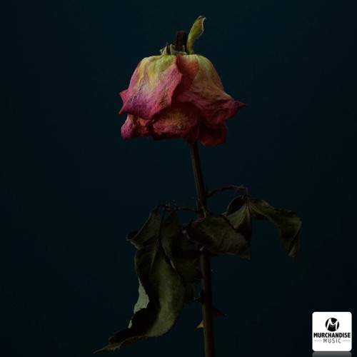 Stream Dead Rose by Dorzie | Listen online for free on SoundCloud