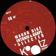 Mauro Diaz - SQ (Selected Remix)