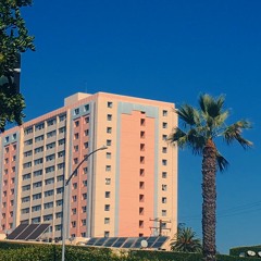 backwoods in the rain