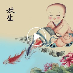 Wenda20181125    如何理解放生可以化劫；针对过劫要放生多少