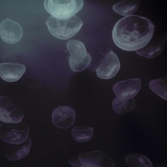 GeloGelido - Scena Del Crimine (Prod. sonno.)