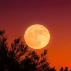 funkshway's accidental discovery (Tipper & Friends 2019 Downtempo Mix Submission)